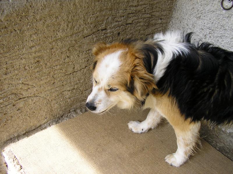 Foto: FÍK-FÍK POZUJE