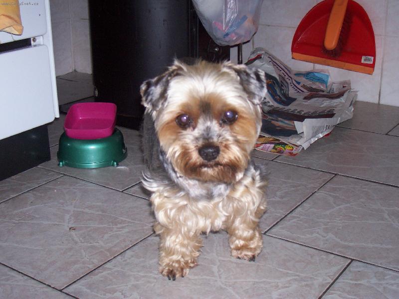 Foto: Kendy-Upřímné oči...