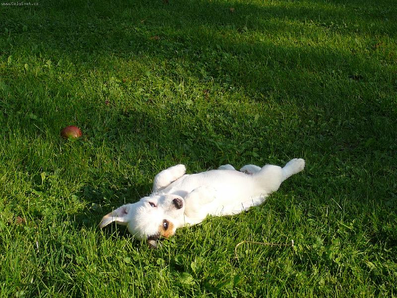 Foto: pohoda-Colet se konečně umoudřila a relaxuje