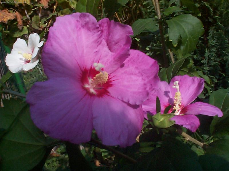 Foto: Trojrozměrná krása