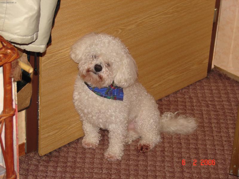 Foto: Já chci ven!!-Potřebuji na ...