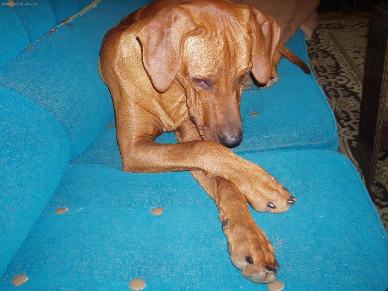 Foto: Nerušit prosím.