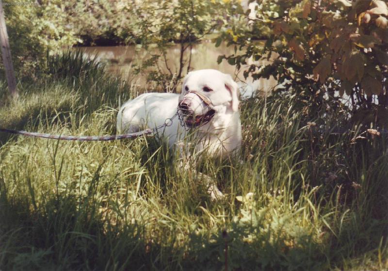 Foto: Akim v trávě-není nadherný