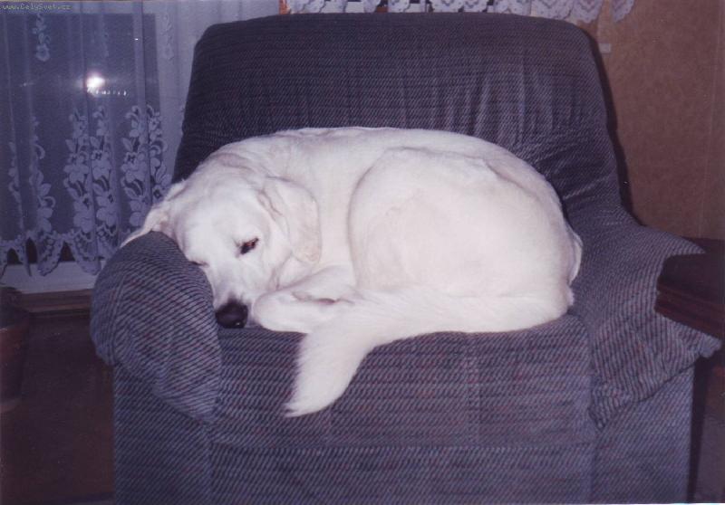 Foto: Akim v trávě-ten se rozvaluje co???