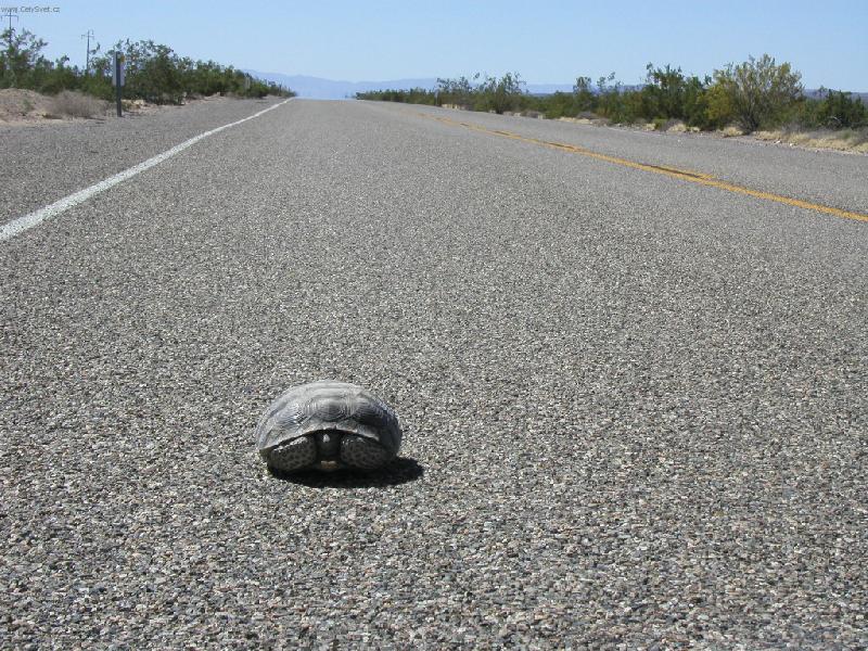 Foto: klídek..jdu jak nejrychleji umím-route 66