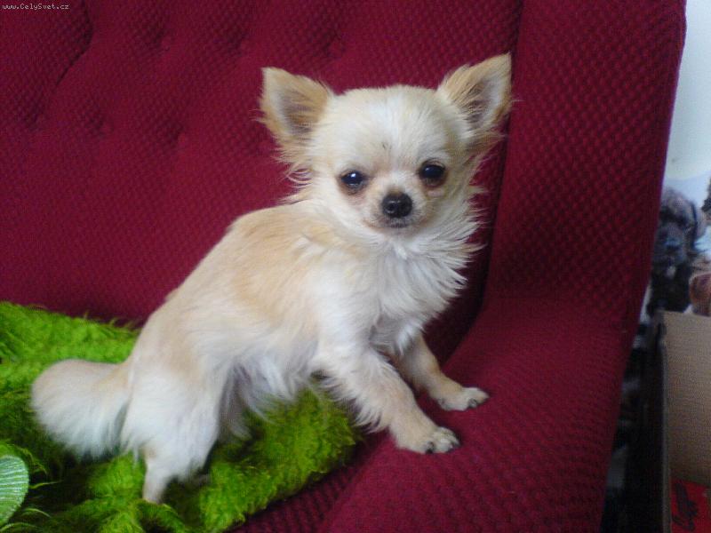 Foto: Šimonek-Drobeček Šimonek