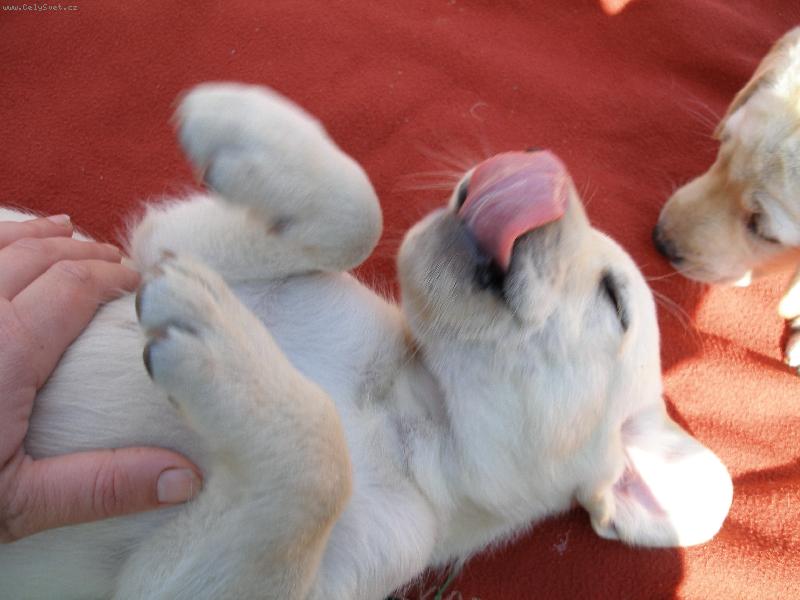 Foto: To byla dobrota