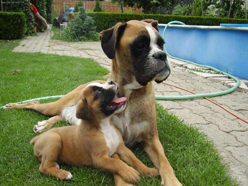 Foto: Betynka a Bufíček-Mám tě rád mami...