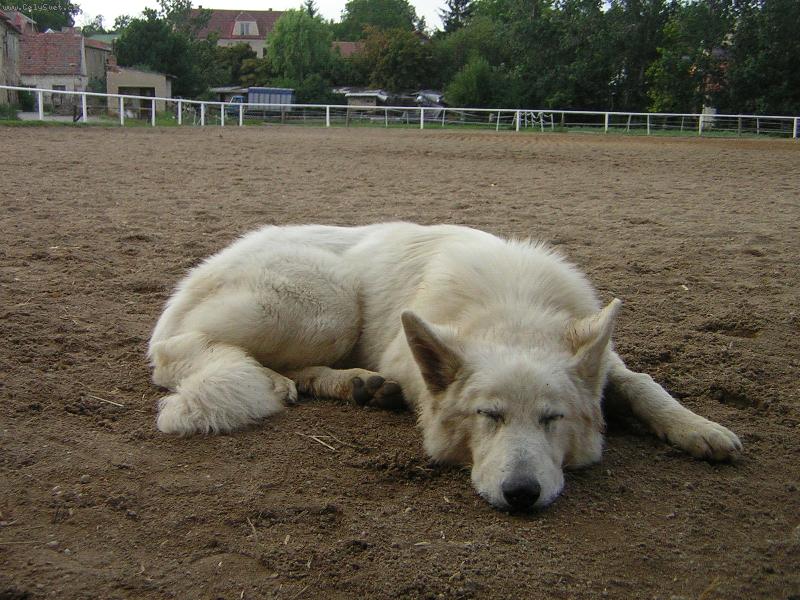 Foto: Baico-Prosím nebudit!