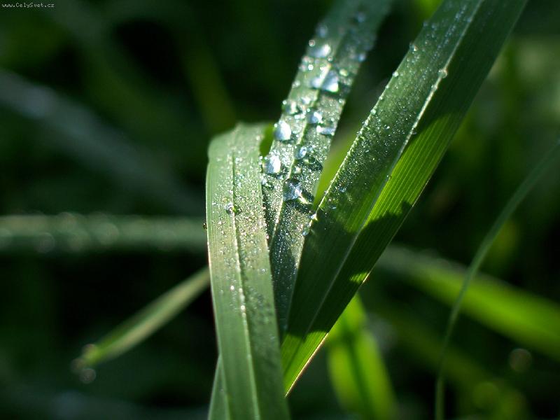 Foto: Po de�ti-...