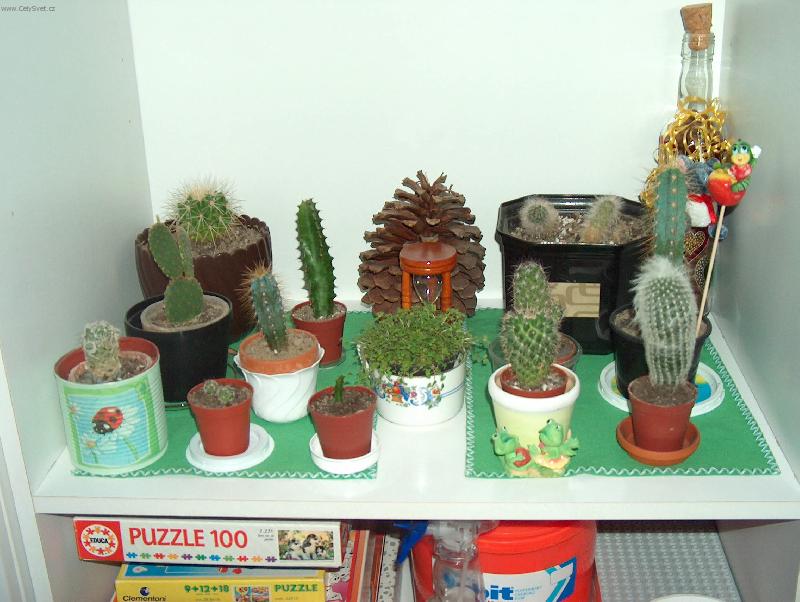 Foto: Moje zbírka-ted už je mnohokrát větsí !