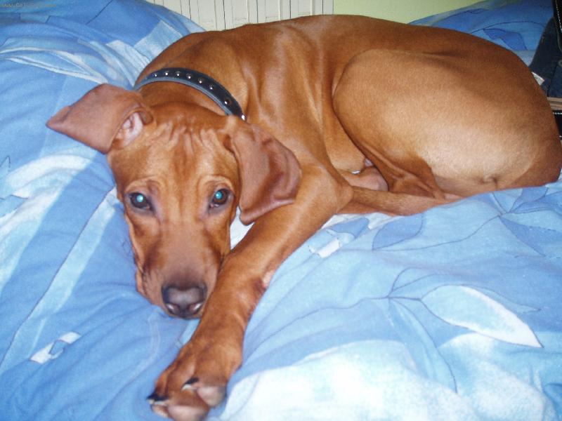 Foto: Můj pelech???