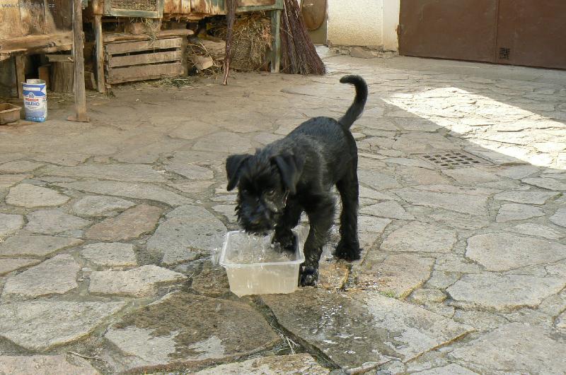 Foto: Říkám, že jsem měla být rybou!!-Xiruška ve svém živlu