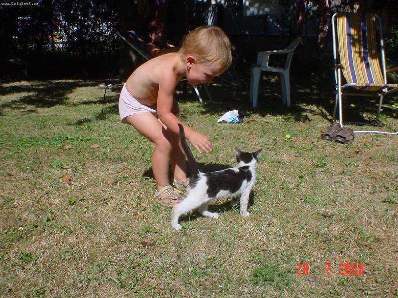 Foto: Dvě koátka