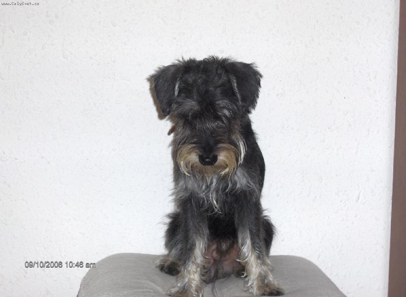 Foto: Koloušek-Já jsem pěknej nebo ne?