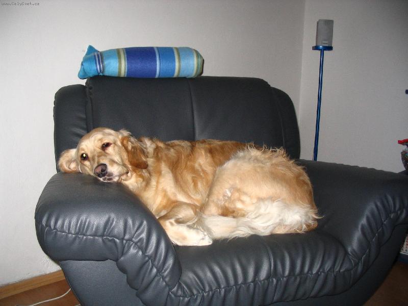 Foto: Odpoledni siesta