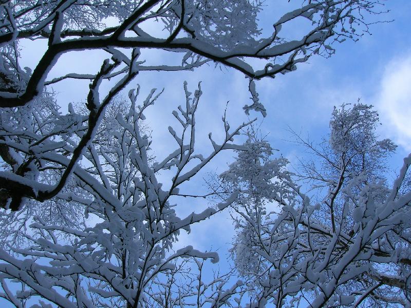 Foto: Jak je zima krásná