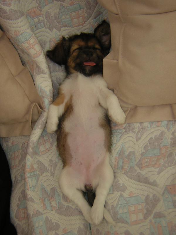 Foto: Betynka-spící Betynka