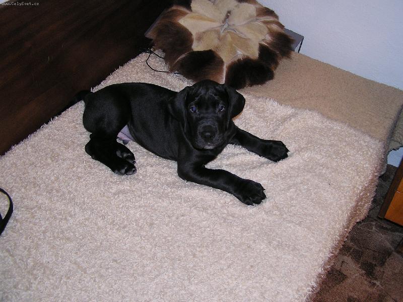 Foto: Já taky budu jednou velkej!-Bonifác