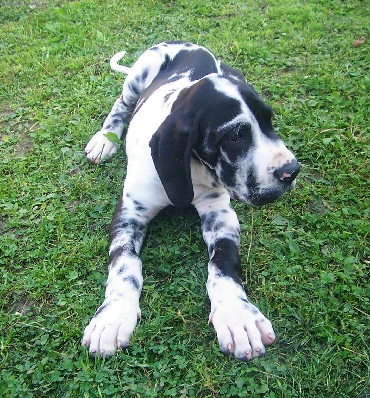 Foto: Naše nové miminko