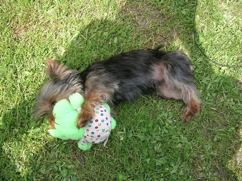 Foto: To je můj plyšák a nikomu ho nedám