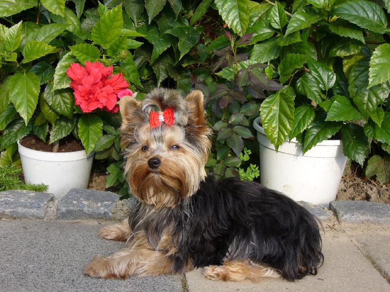 Foto: Sendy-Vyhřívání na sluníčku