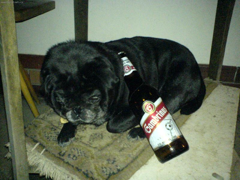 Foto: Tedík a Gambáč