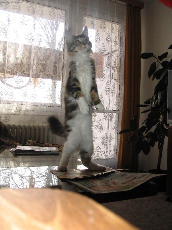 Foto: Matyáš-To jsem ale vyrostl.