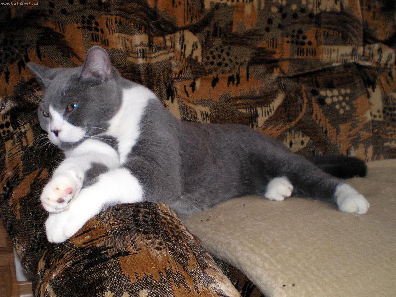 Foto: Siesta-Matýsek