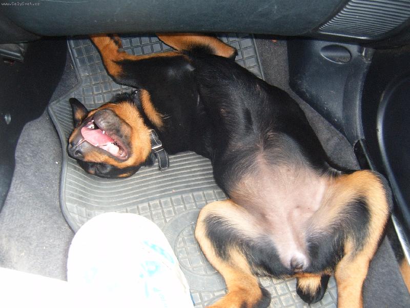 Foto: Naše Maya-To byl ale dobrej vtip..