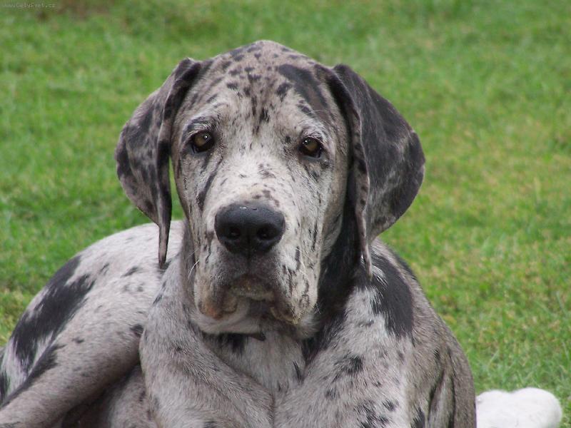 Foto: IGOREK-už mi je 5 měsíců