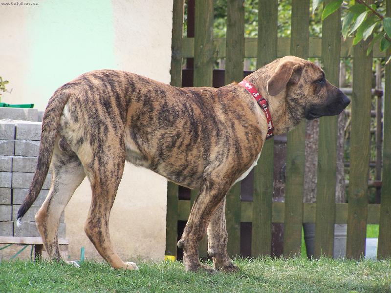 Foto: FIDÍK-je mi půl roku