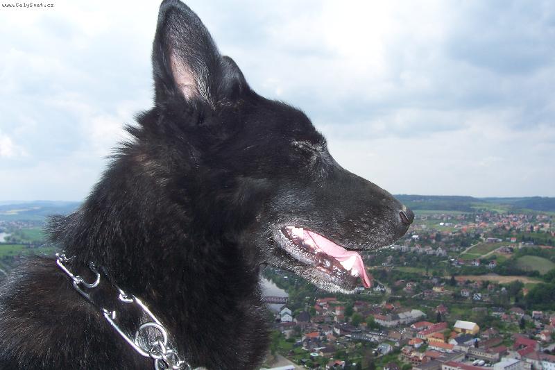 Foto: královna světa-tak tohle je moje Agátka,,hezká fotka,,,že???