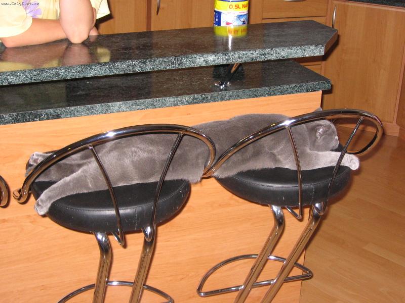 Foto: Bruno-Odpočinek po obědě