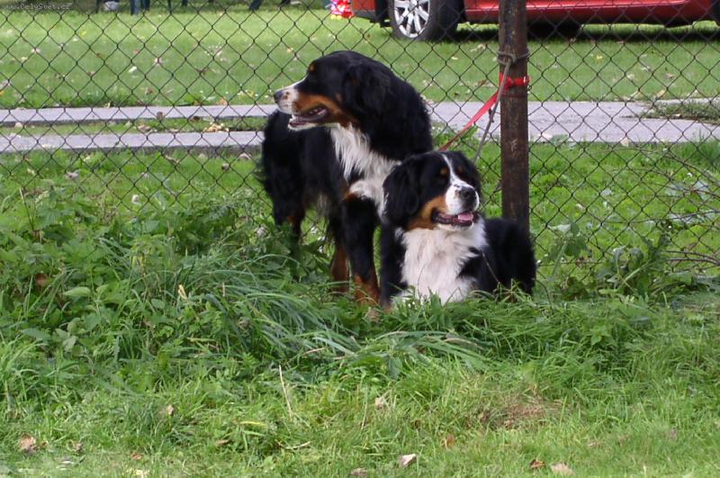 Foto: Pudjdeme si hrát???