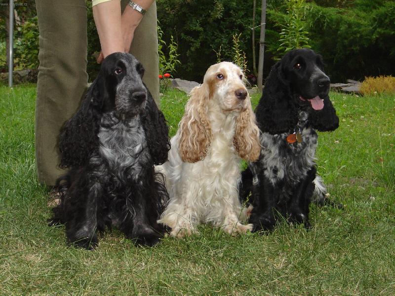 Foto: Celá naše kokří rodina-Máma, syn a tetička