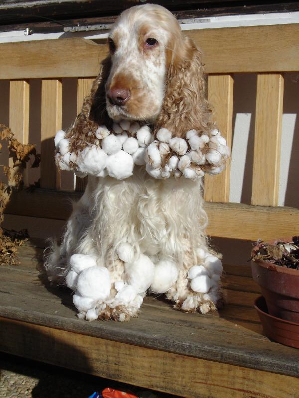 Foto: Byli jsme venku ve sněhu a nesu si trochu s sebou-Po nasněžení lepivého sněhu