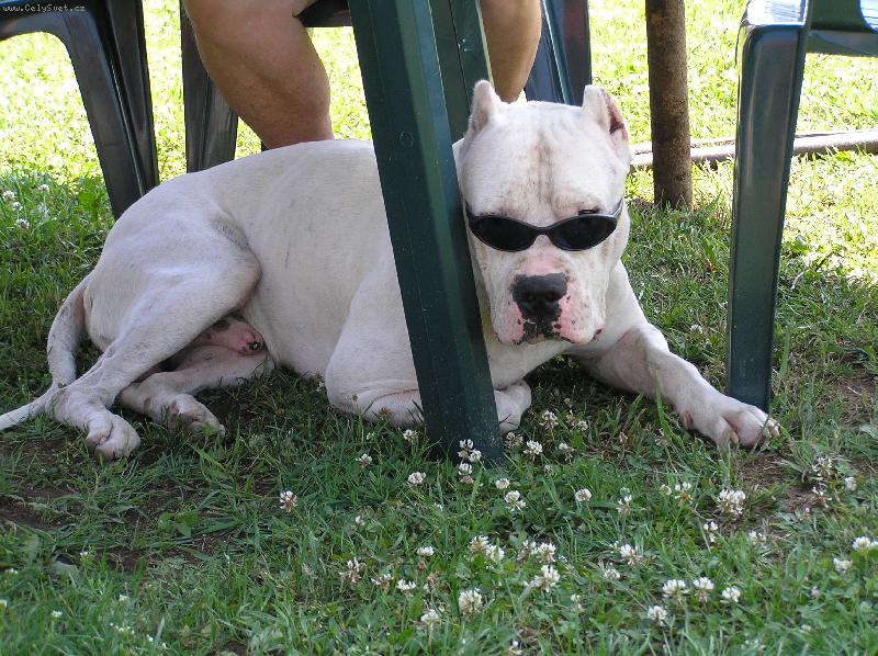 Foto: men in black-Ricaro fesak