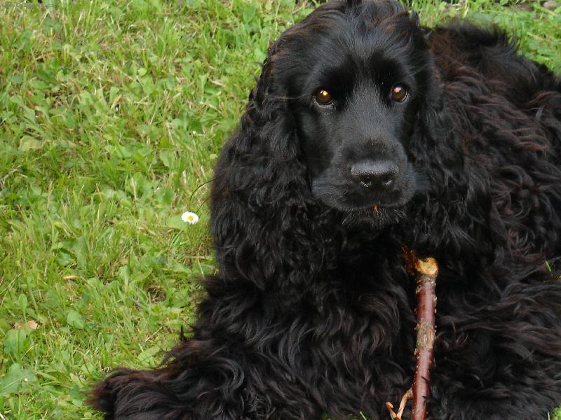 Foto: Na zahradě je nejlépe..-Milda