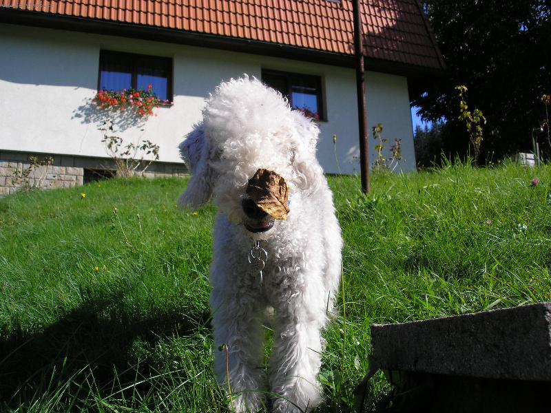 Foto: Barýsek na dovolené