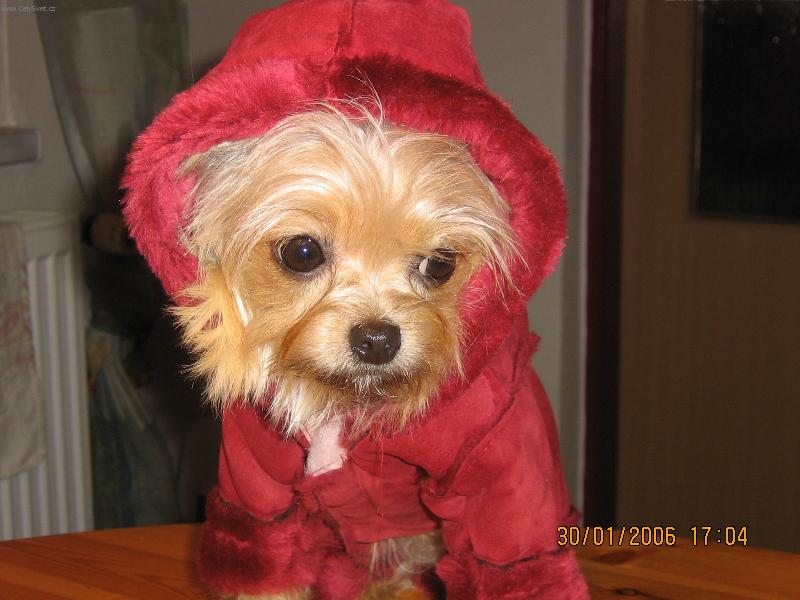 Foto: Anetka-zima ja zima