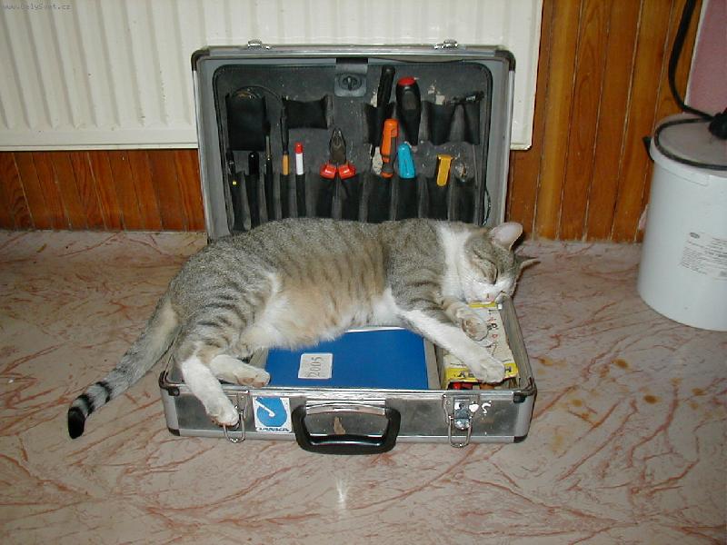 Foto: Zasloužený odpočinek-Kde padne tam usne