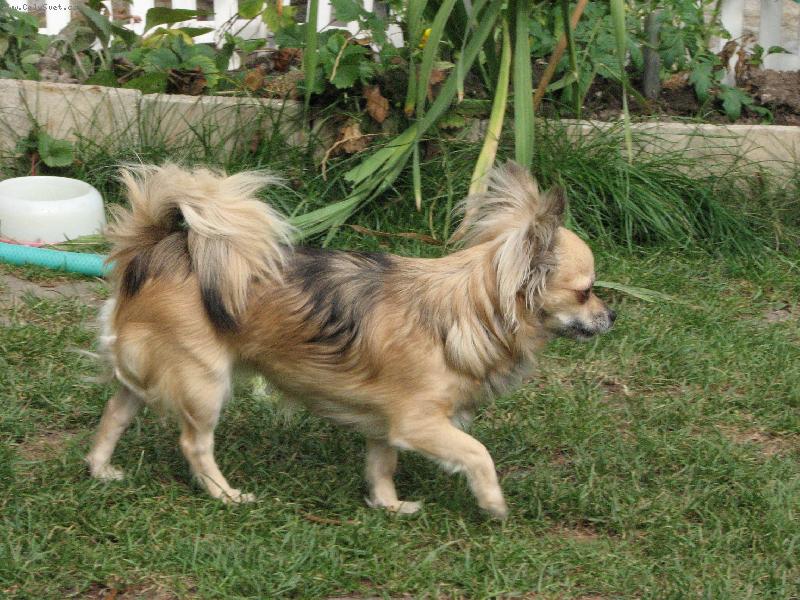 Foto: Hanapepe Bohemia Alke-krásná Pepina