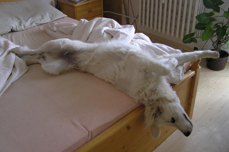 Foto: A opravdu musím ven?!