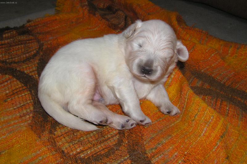 Foto: někdo mě volal?