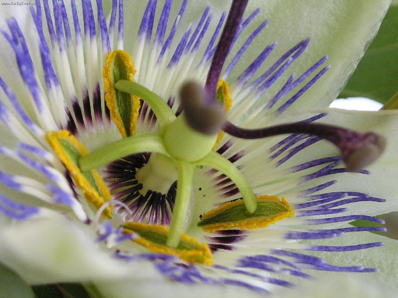 Foto: Harmonie-Tak malá nebo tak velká ...