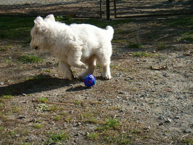 Foto: Chci dát GOL!!!!