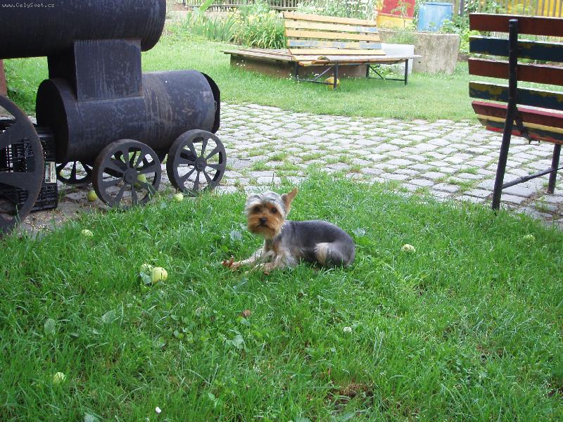 Foto: U mašinky.-Mám pařátek.