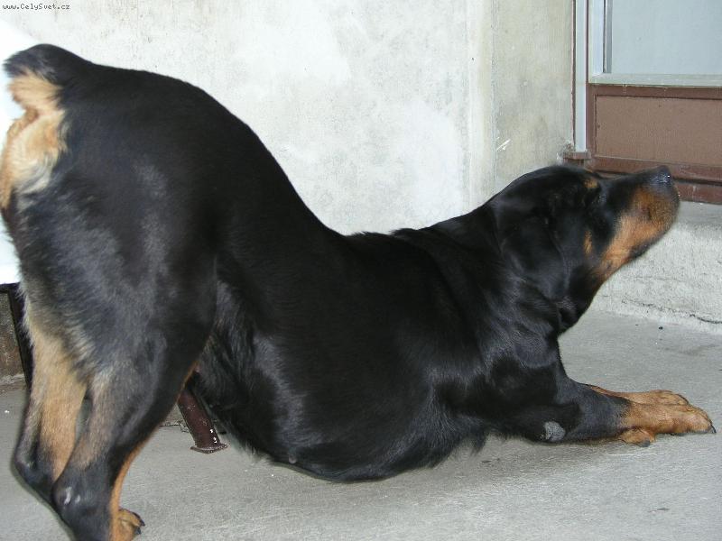 Foto: raní protažení