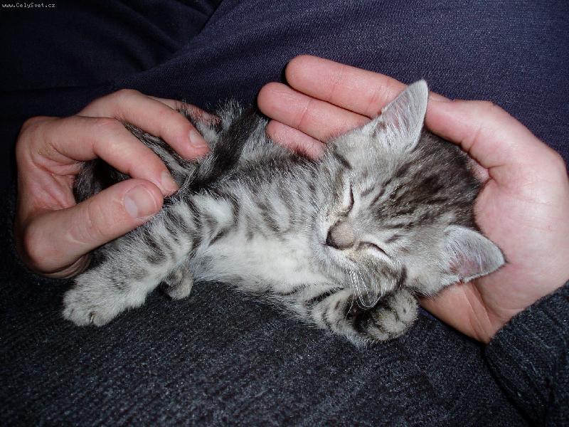 Foto: Mikeška (v té době ještě Mikeš)